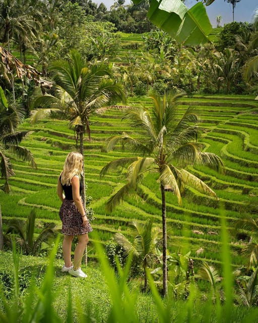 bali-scenic-rice-terraces-temple-waterfall-tour