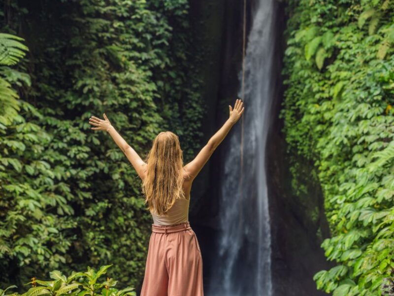 bali-scenic-west-bali-private-tour-luxury-car