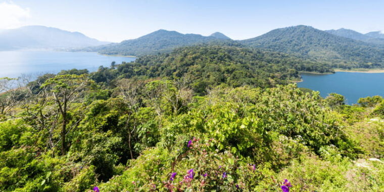 bali-scenic-west-bali-private-tour-luxury-car