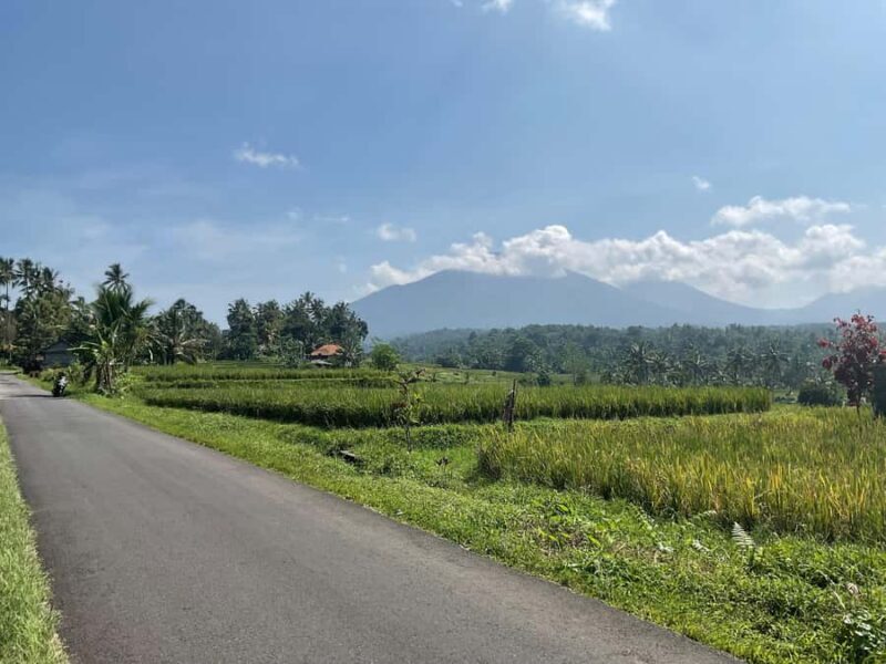 Bali Scooter Tour With Tour Guide - Final Thoughts