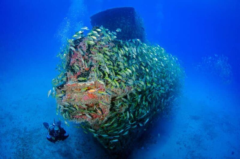 Bali: Scuba Diving Experience for Beginners and Families - Exploring Bali’s Underwater Charm