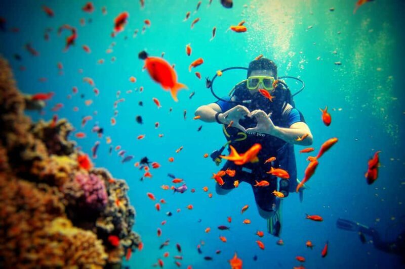Bali: Scuba Diving Experience for Beginners and Families - Why Small Groups Matter