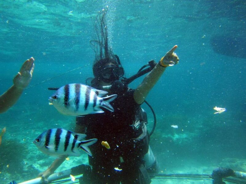 bali-scuba-diving-for-beginner-experience