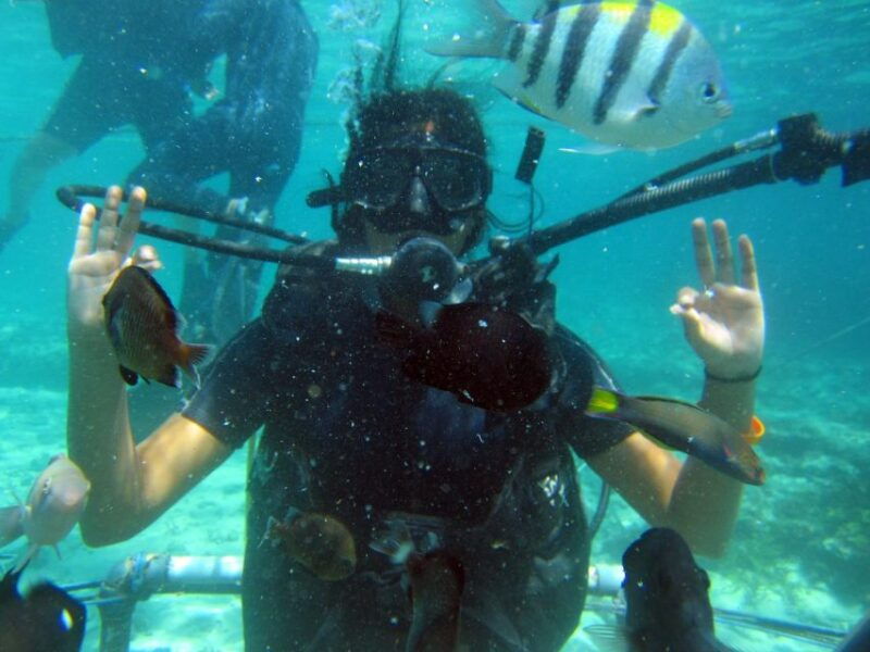 bali-scuba-diving-for-beginner-experience