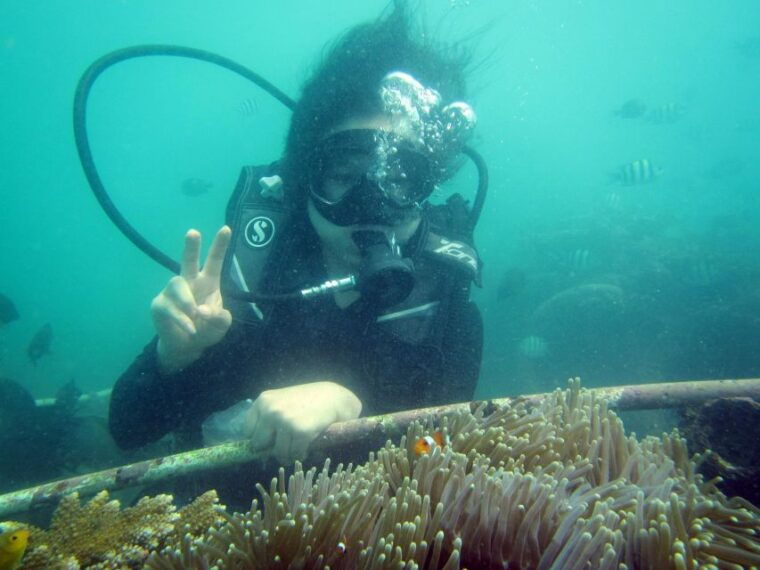 bali-scuba-diving-for-beginner-experience