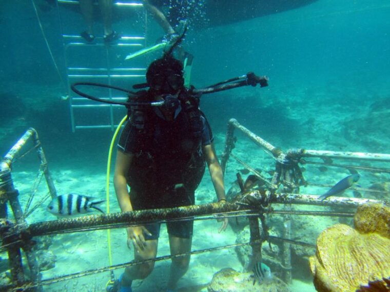 bali-scuba-diving-for-beginner-experience