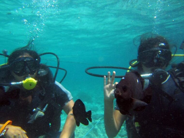 bali-scuba-diving-for-beginner-experience