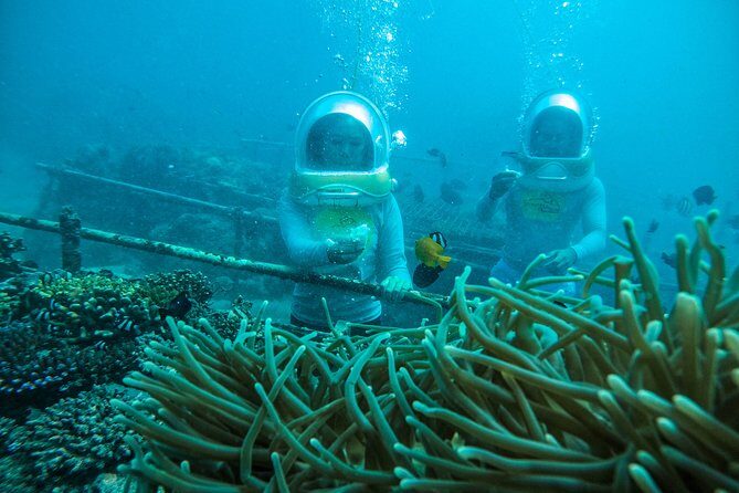Bali Sea Walker Adventure in Tanjung Benoa with Transport - Diving Into the Experience: What You Can Expect