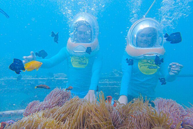 Bali Sea Walker Adventure in Tanjung Benoa with Transport - Who Should Consider This Tour?