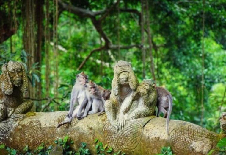 bali-sea-walker-experience-with-optional-sightseeing-tour