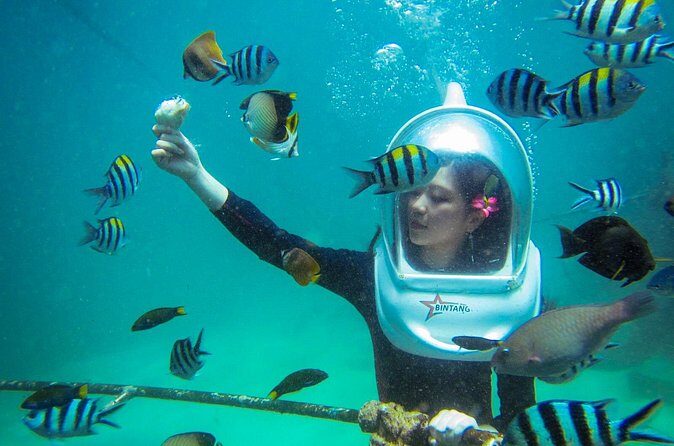 Bali Sea Walker under Water experience Watersport - Who Is This Tour Best For?