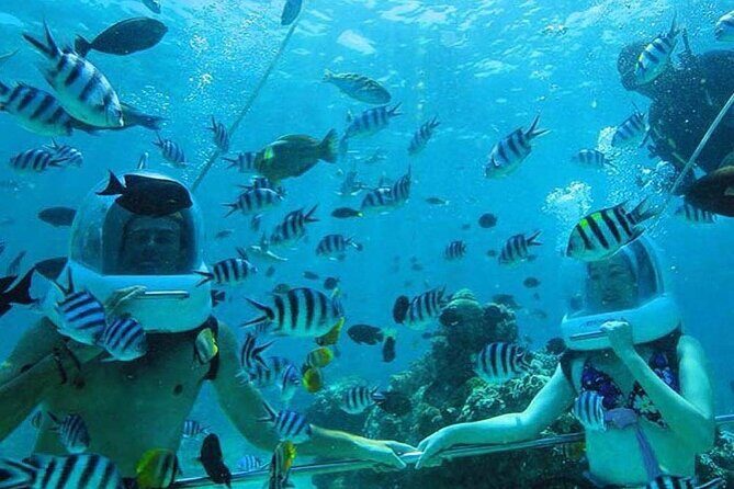 Bali Sea Walker Watersport - Key Points