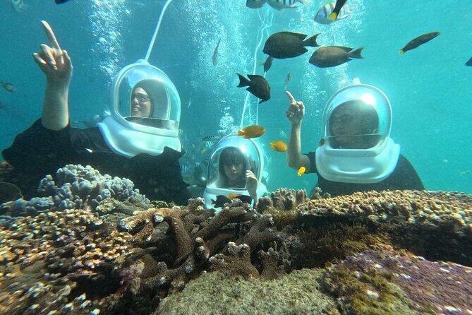 Bali Sea Walker Watersport - Practical Considerations