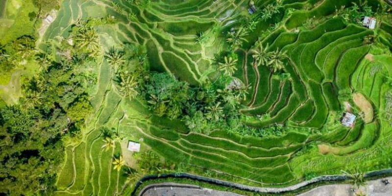 bali-secret-waterfall-tour-private-and-all-inclusive