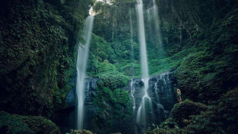 bali-sekumpul-and-aling-aling-waterfall-tour-with-lunch