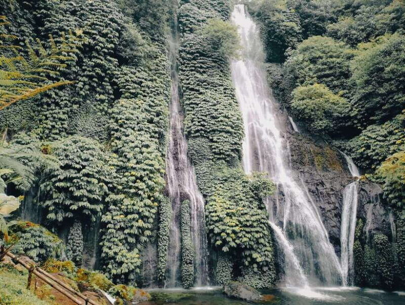 bali-sekumpul-and-banyumala-waterfall-guided-trek