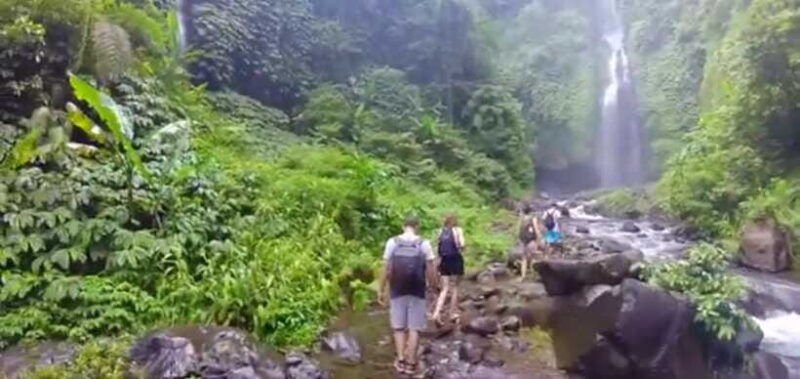 bali-sekumpul-waterfall-and-fiji-waterfall-private-tour