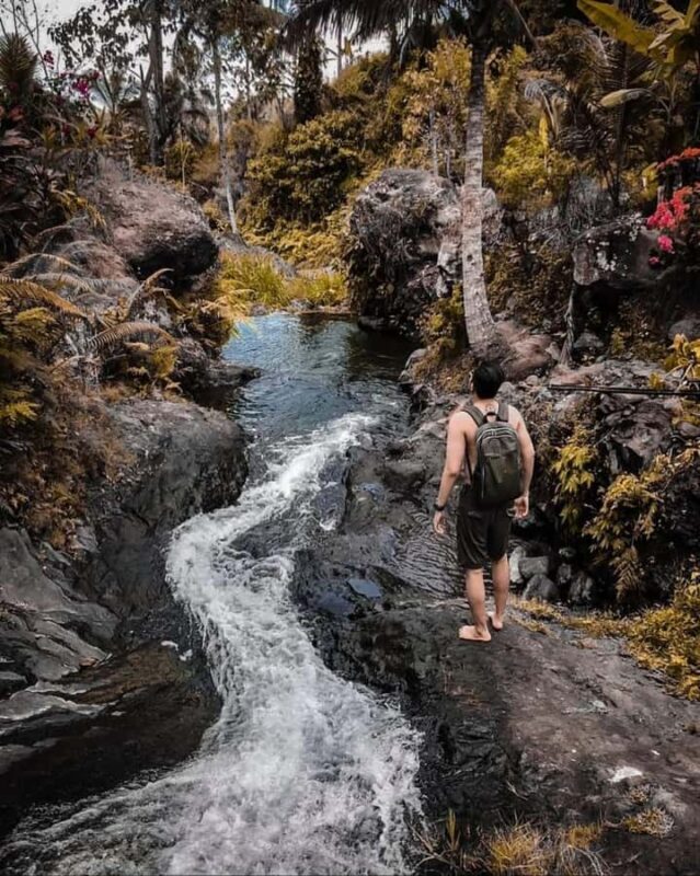 Bali: sekumpul Waterfalls, Rice Terraces, and fuji waterfall - Key Points