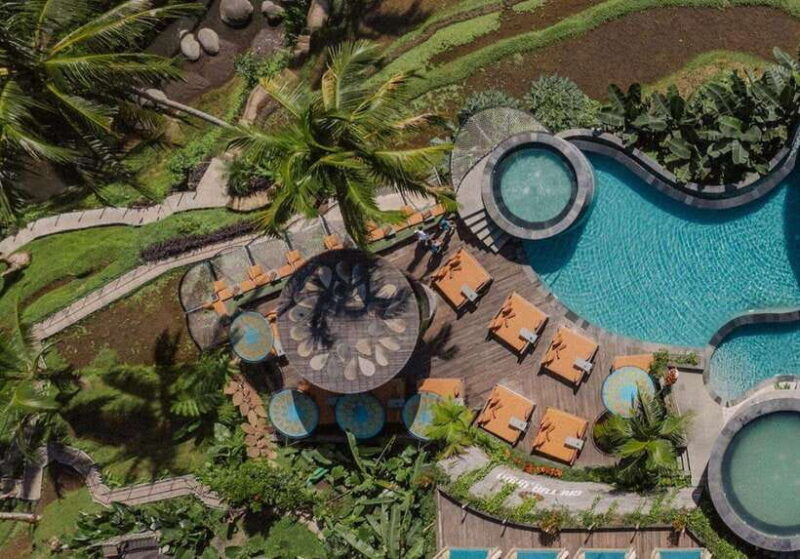 bali-shared-or-private-highlights-ubud-with-cretya-jungle
