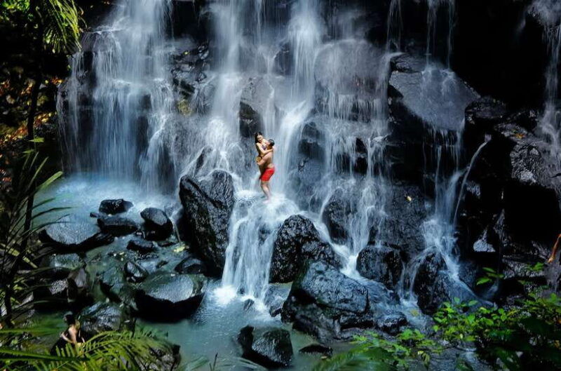 bali-shared-or-private-highlights-ubud-with-cretya-jungle