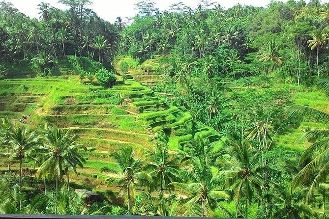 Bali Shore Excursion from Benoa Port  All-Inclusive Private Tour - The Sum Up