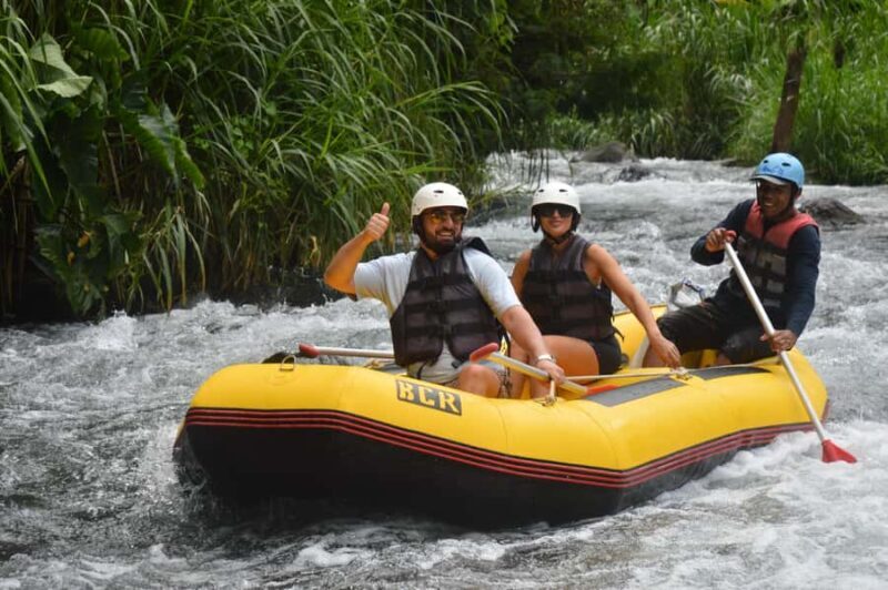 Bali Sidemen: Private Telaga Waja River Rafting With Lunch - Key Points