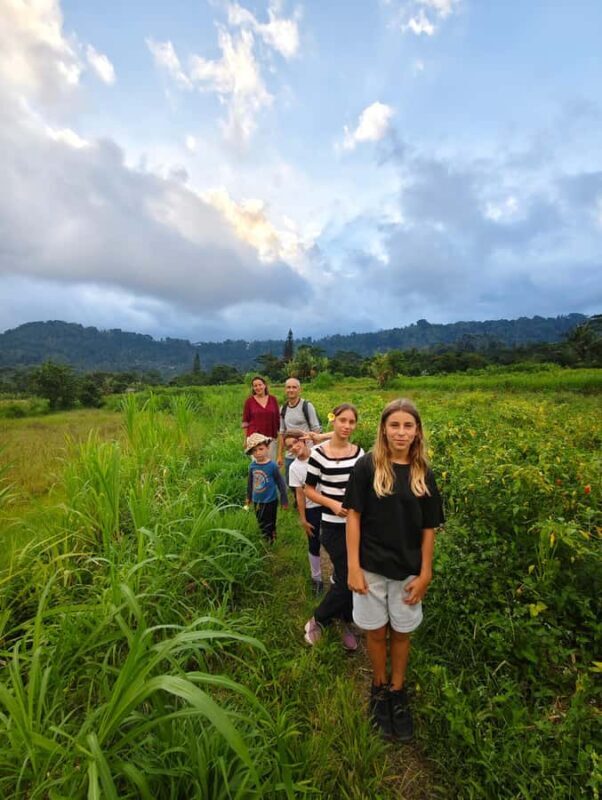 Bali: Sidemen Rice Field Trek and Local Lunch - Why This Tour Offers Value