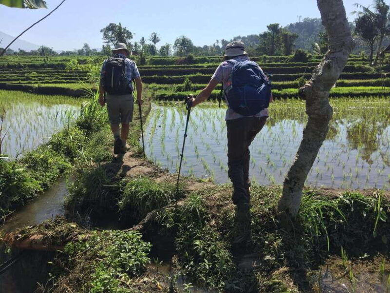 bali-sidemen-trekking-with-besakih-temple-tour-rafting