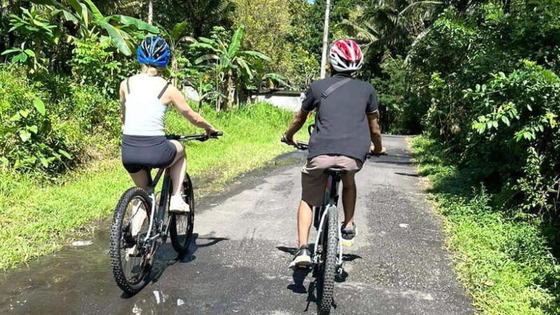 bali-sidemen-valley-cycling-tour-with-gembleng-waterfall