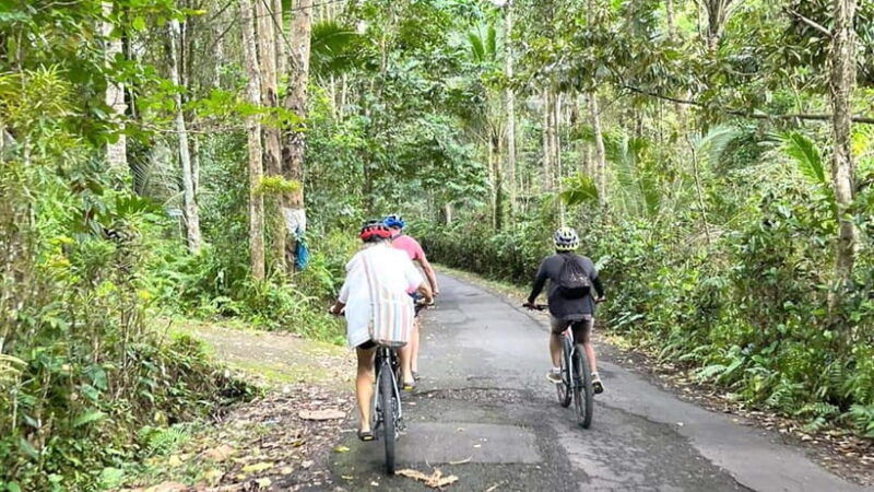 bali-sidemen-valley-cycling-tour-with-gembleng-waterfall