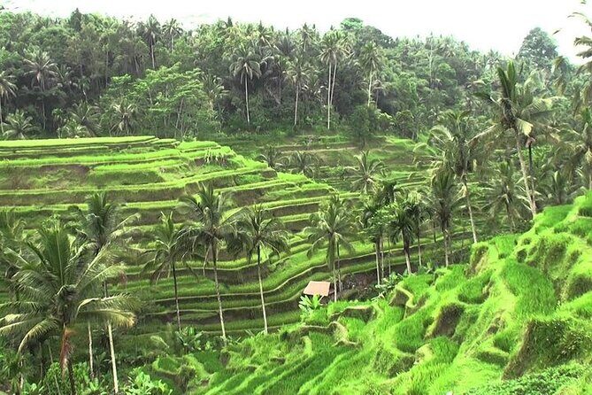 Bali Sightseeing combination Ubud Tour - Practical Considerations: What to Expect