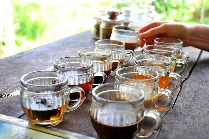 Bali Sightseeing combination Ubud Tour - Authentic Insights from Reviewers