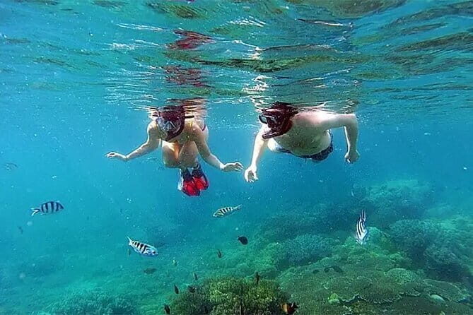 Bali Snorkeling at Blue Lagoon and Tanjung Jepun - What Makes This Tour Stand Out?