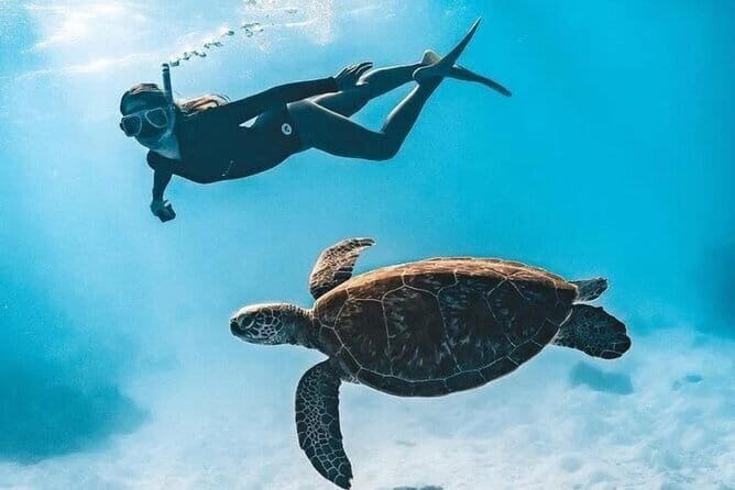 Bali Snorkeling at Blue Lagoon and Tanjung Jepun with Transfer - Who Is This Tour Best For?