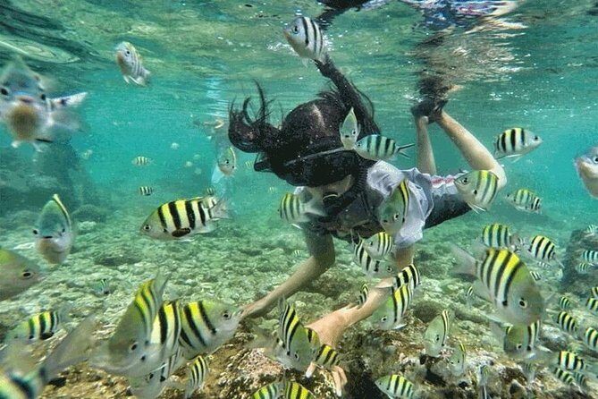 Bali Snorkeling at Blue Lagoon & Tanjung Jepun Beach: All-Inclusive - Why This Tour Is a Great Choice