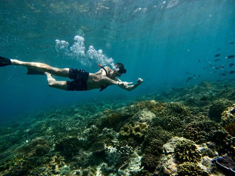 Bali: Snorkeling Blue Lagoon 2 Spot & Lunch optional Village - Introduction: Why This Snorkeling Tour Might Be Just Right for You