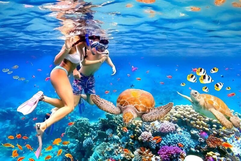 Bali: Snorkeling Blue Lagoon 2 Spot & Lunch optional Village - The Itinerary in Detail