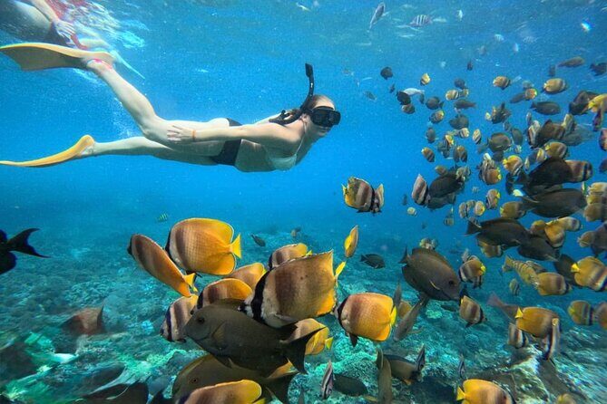 Bali Snorkeling Blue Lagoon 2 spot with Lunch & Transport - Key Points
