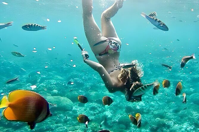 Bali Snorkeling Blue lagoon All Inclusive - The Itinerary Breakdown: What To Expect