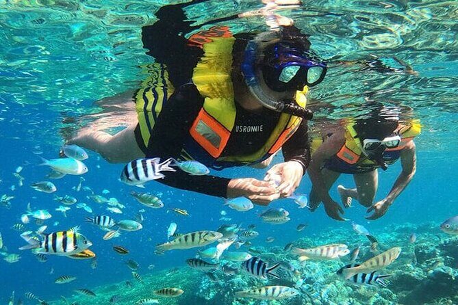 Bali Snorkeling Blue Lagoon and ATV Quad Bike Adventure - Bali Snorkeling Blue Lagoon and ATV Quad Bike Adventure: An Honest Review