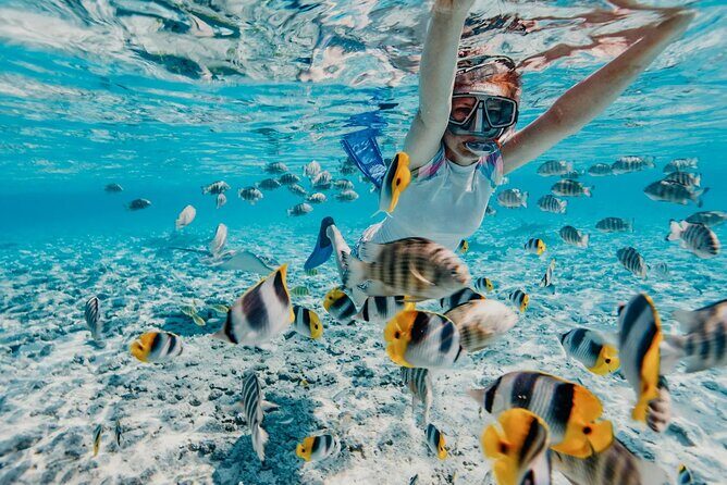 Bali Snorkeling Blue Lagoon and ATV Quad Bike Adventure - Final Words