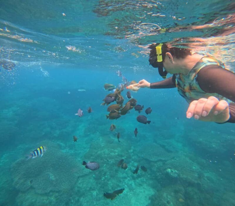Bali: Snorkeling Experience in Blue Lagoon and Tanjung Jepun - What Makes This Tour Special