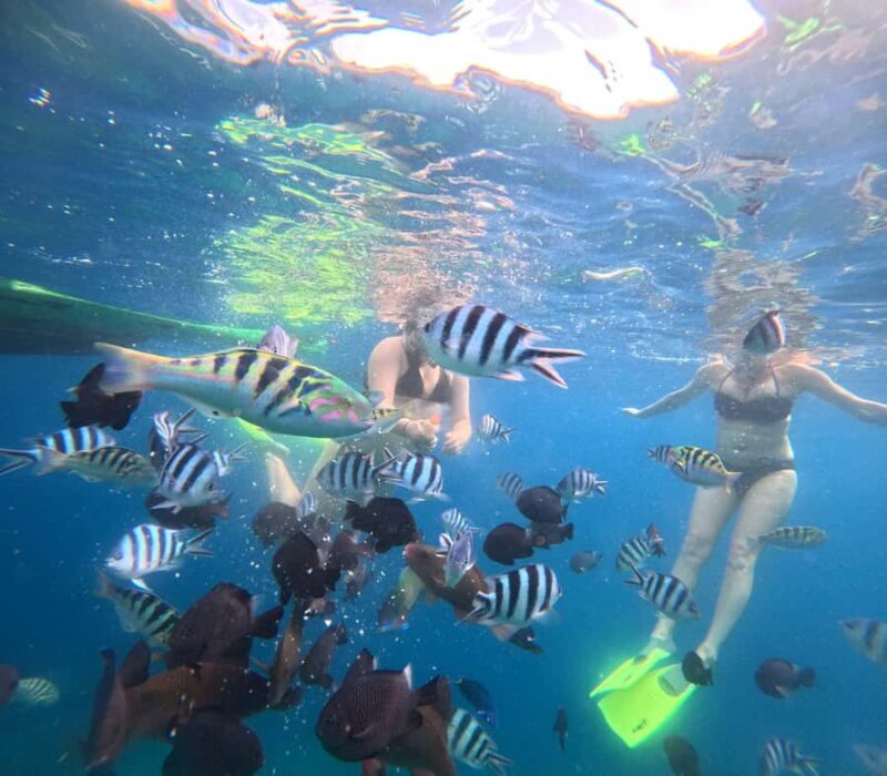 Bali: Snorkeling Experience in Blue Lagoon and Tanjung Jepun - FAQ