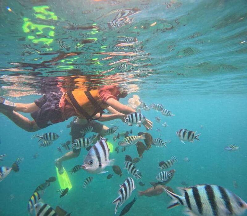 bali-snorkeling-experience-in-blue-lagoon-and-tanjung-jepun