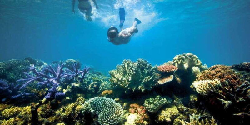 bali-snorkeling-to-lembongan-ceningan-with-mangrove-tour
