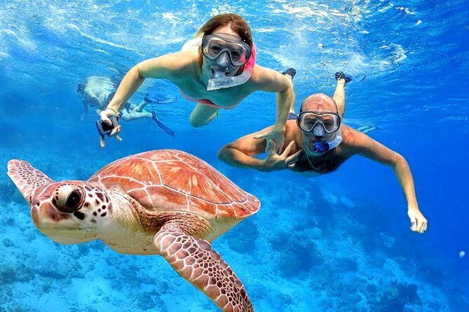 Bali Snorkeling Tour at Amed - Who Is This Tour Best Suited For?
