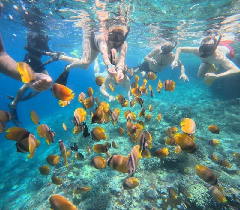 Bali: Snorkeling Trip to Blue Lagoon with Private Pickup Car - Introduction