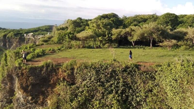 Bali: South Bali Tour with Turtle Sanctuary & Transfer Hotel - Exploring the Bali: South Bali Tour with Turtle Sanctuary & Transfer Hotel