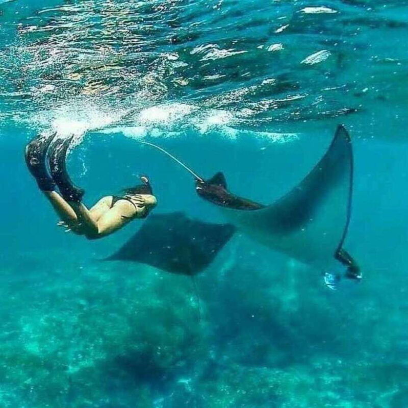 bali-southeast-nusa-penida-full-day-trip-with-snorkeling