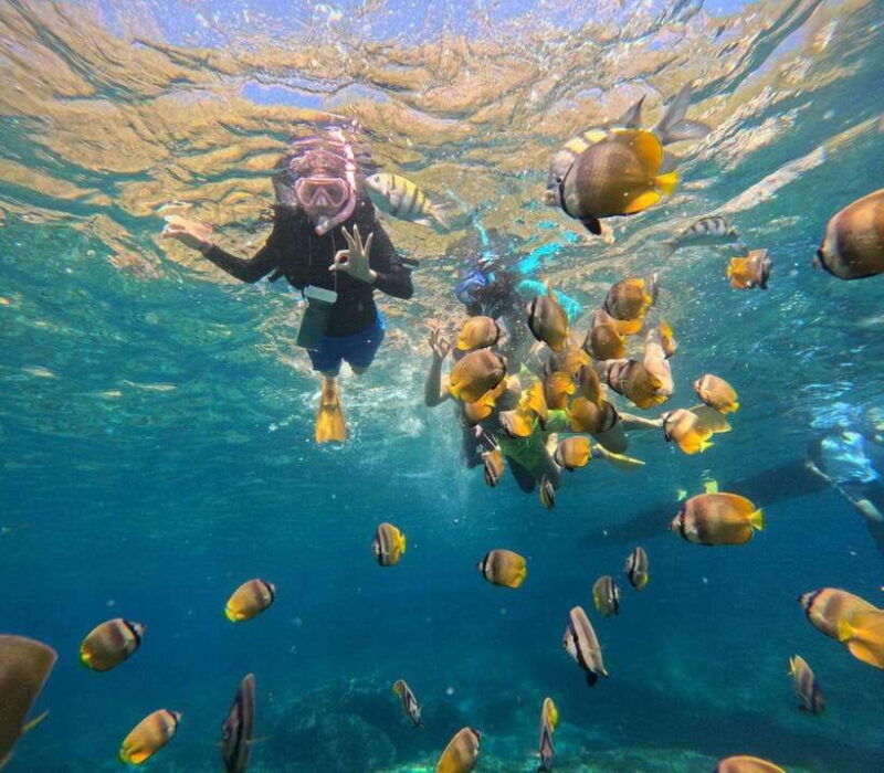 bali-southeast-nusa-penida-full-day-trip-with-snorkeling